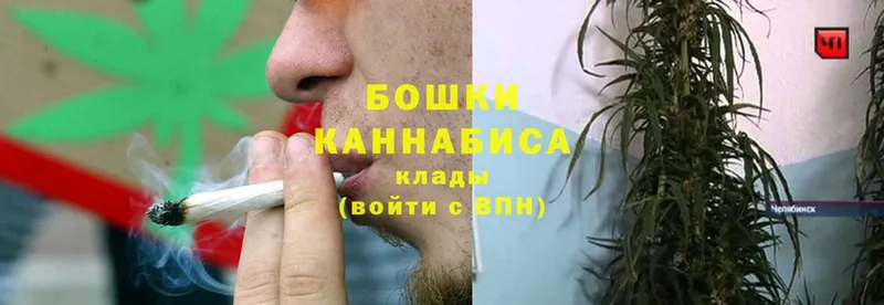 МАРИХУАНА VHQ  как найти   Духовщина 